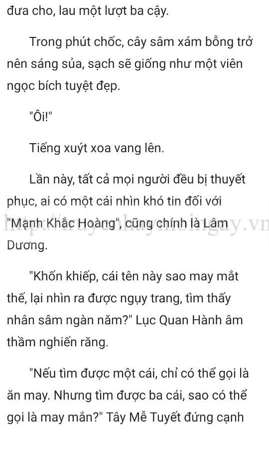 thần y ở rể