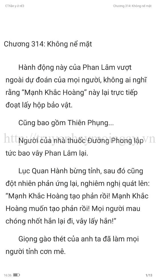 thần y ở rể