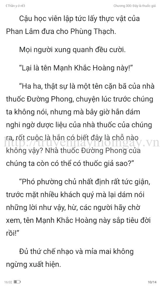 thần y ở rể