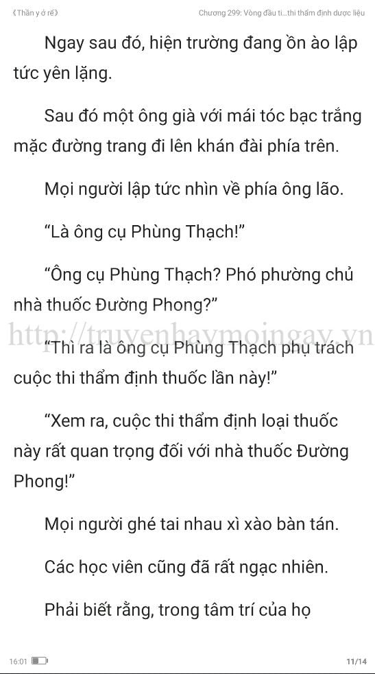 thần y ở rể