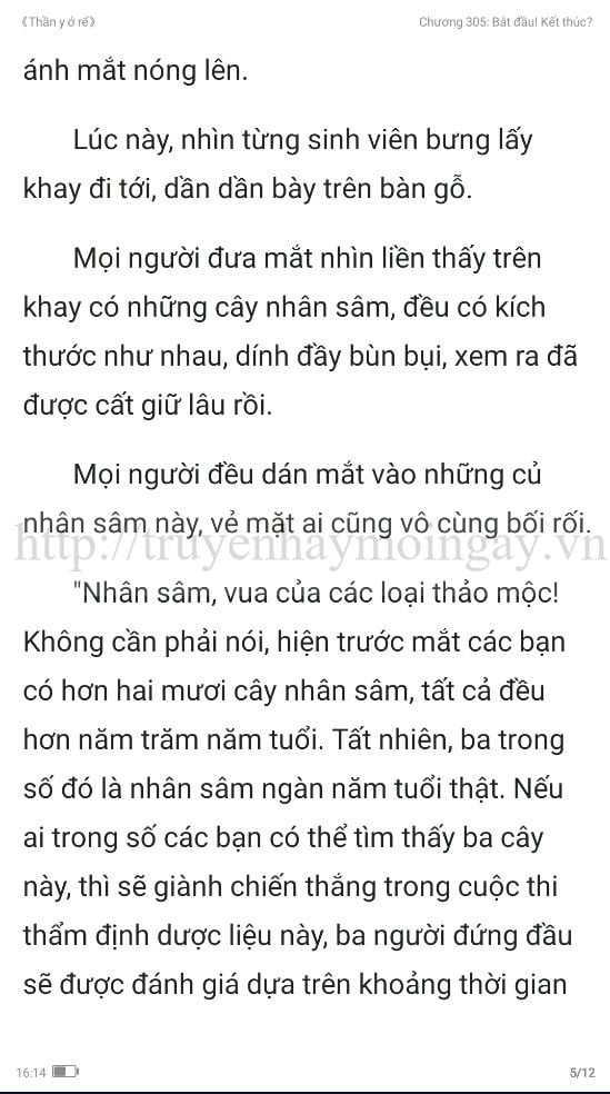 thần y ở rể