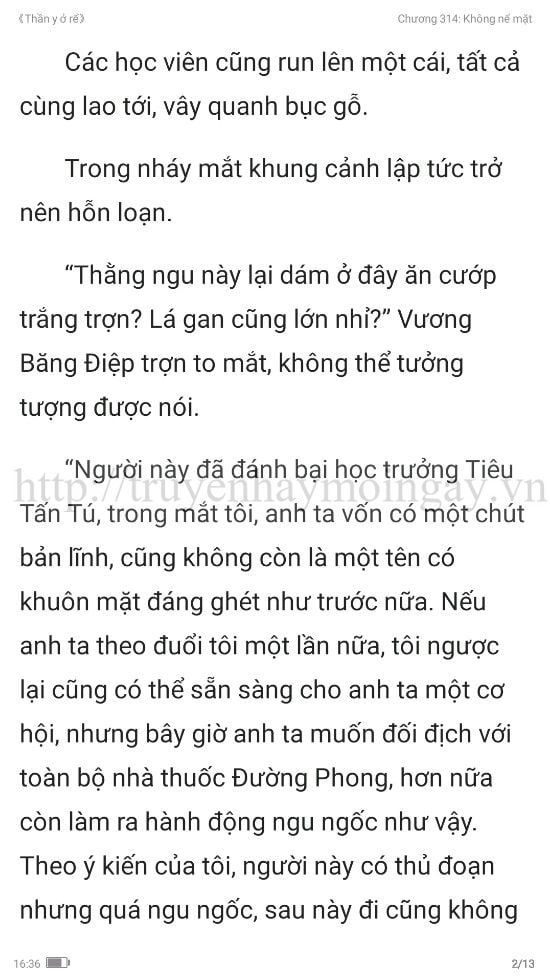 thần y ở rể