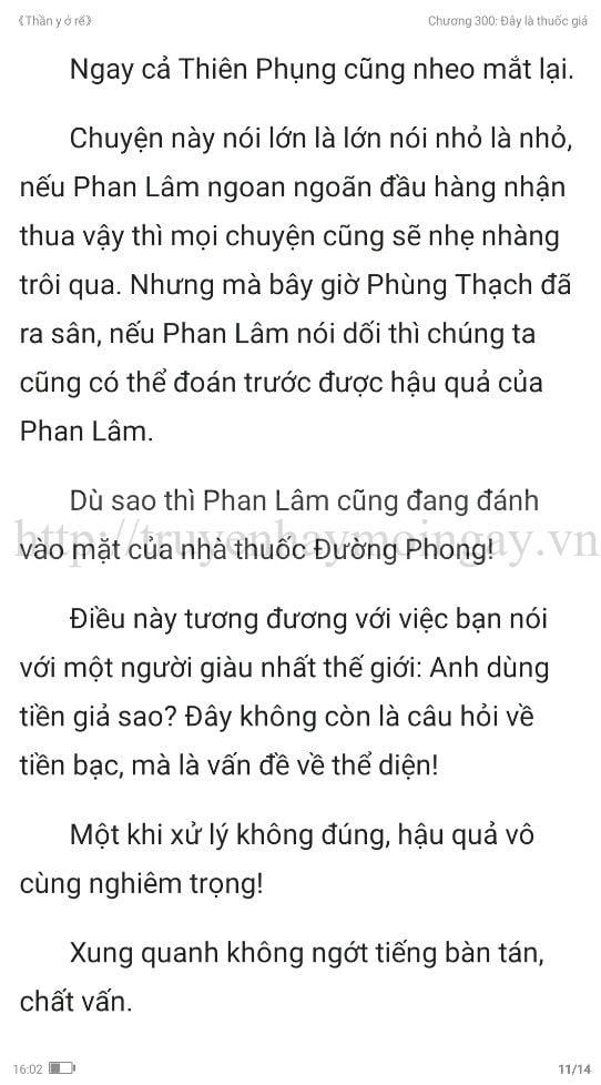 thần y ở rể