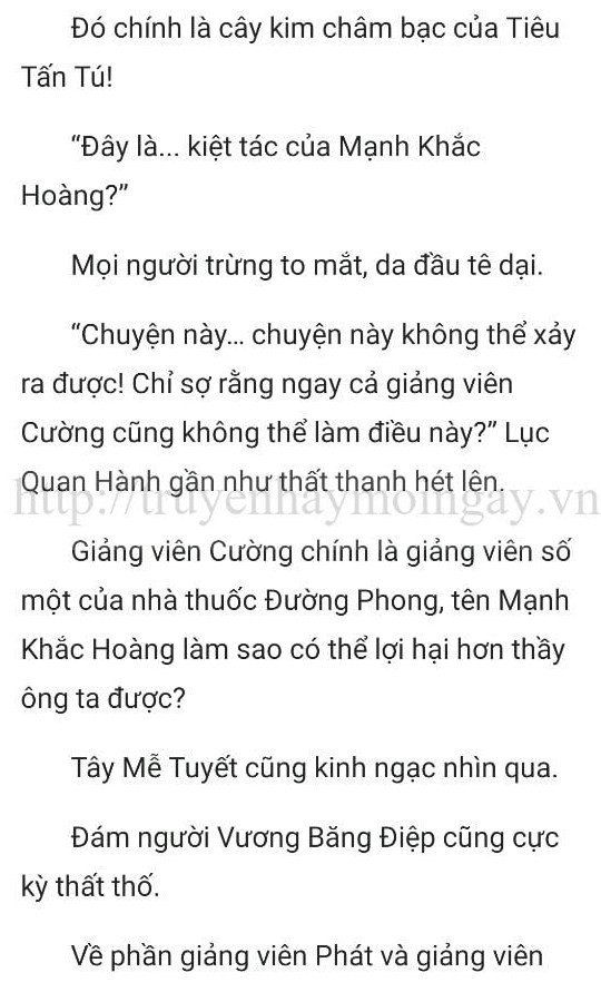 thần y ở rể