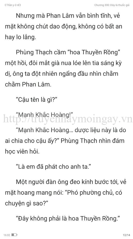 thần y ở rể