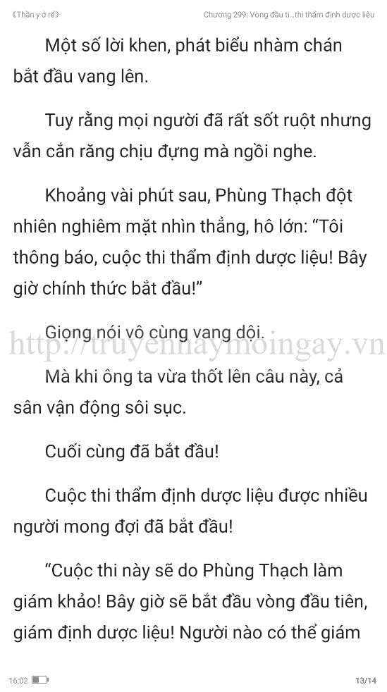 thần y ở rể