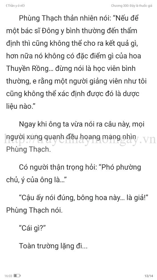 thần y ở rể