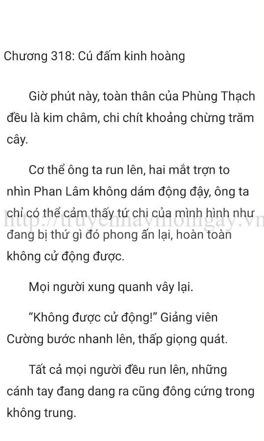 thần y ở rể