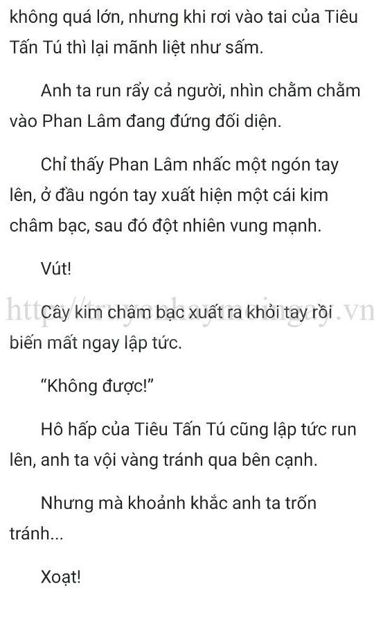 thần y ở rể