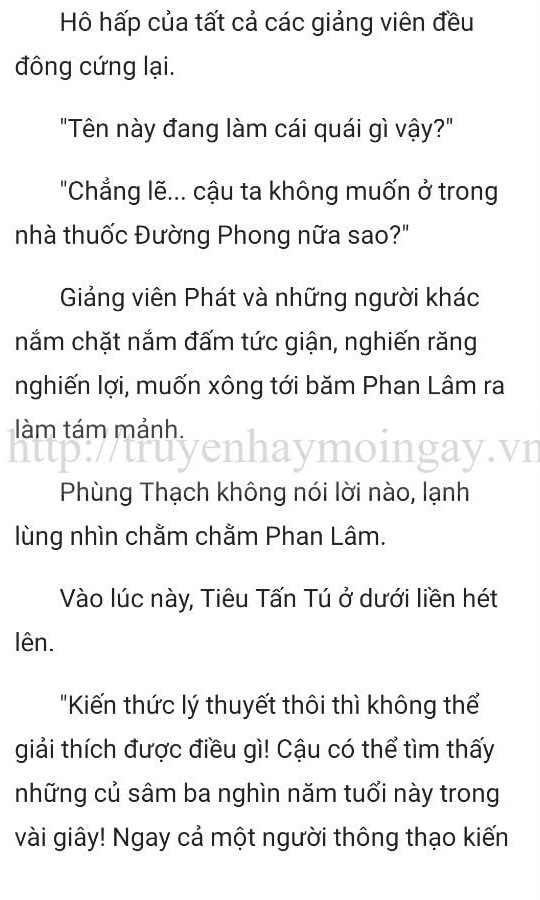 thần y ở rể