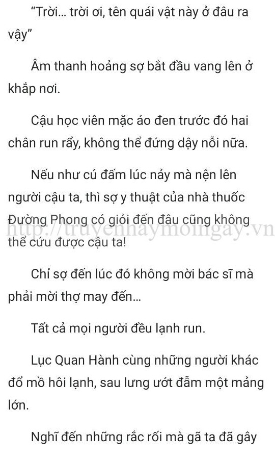 thần y ở rể