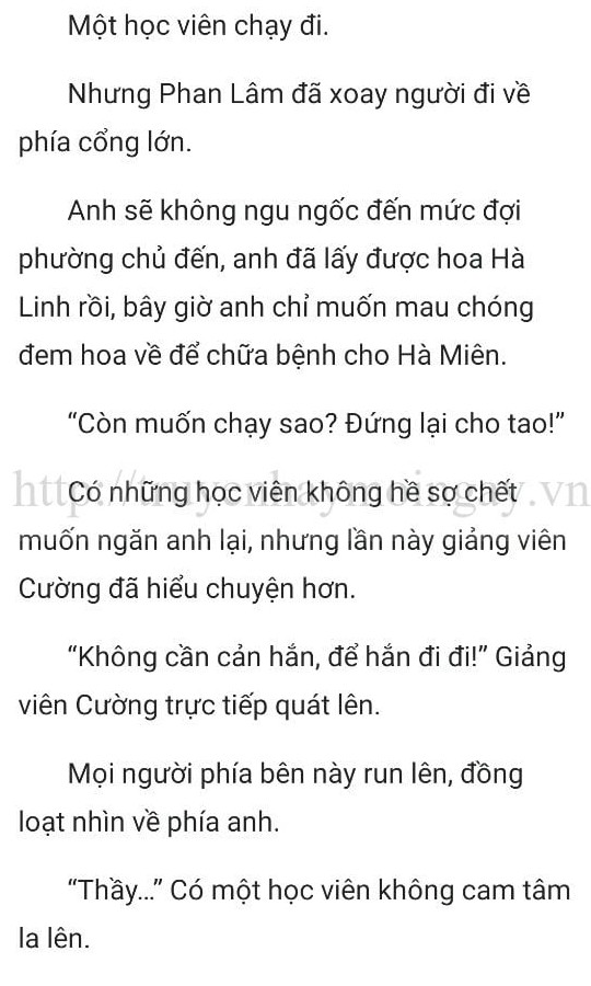 thần y ở rể