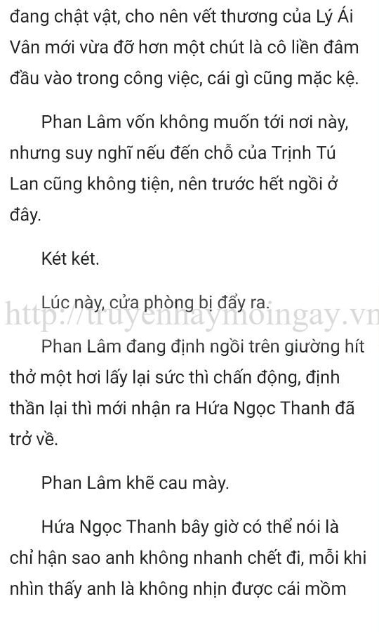 thần y ở rể