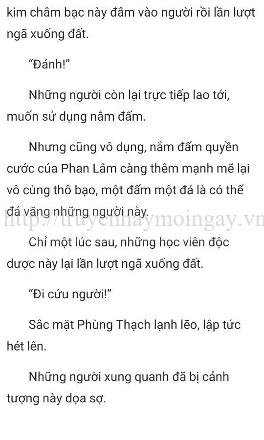 thần y ở rể