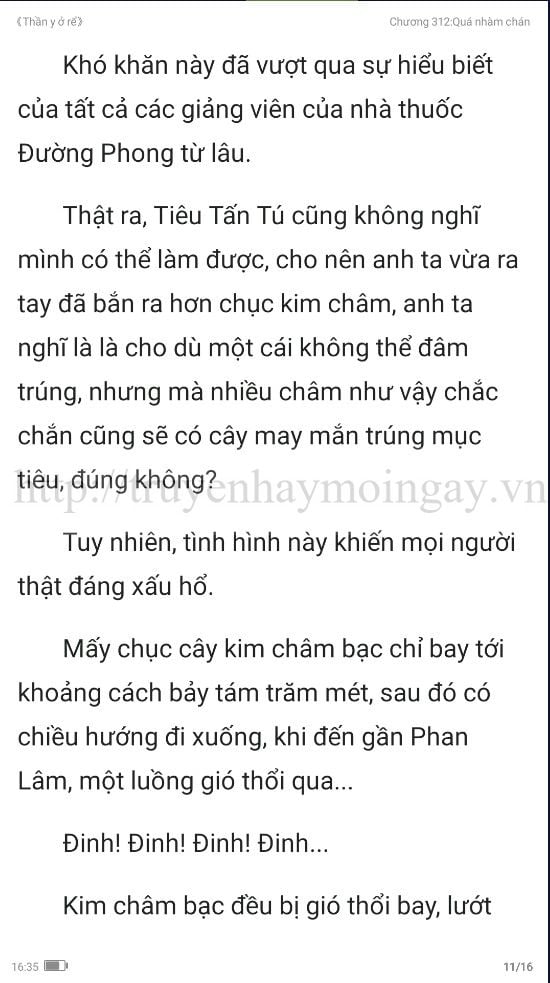 thần y ở rể