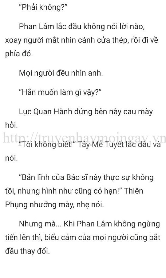 thần y ở rể