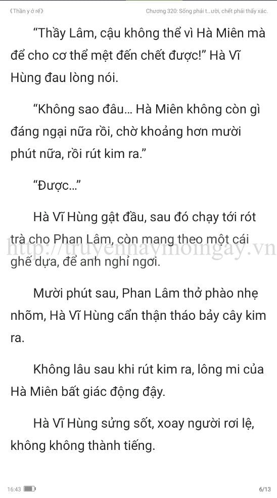 thần y ở rể