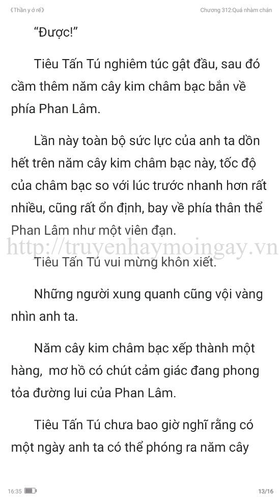 thần y ở rể