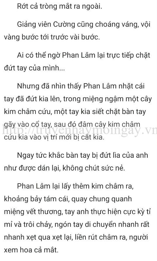 thần y ở rể