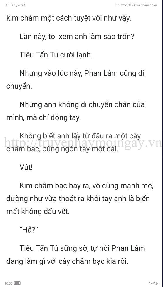 thần y ở rể