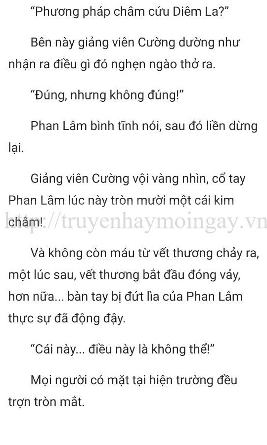 thần y ở rể