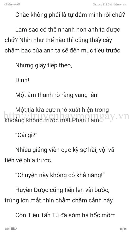 thần y ở rể