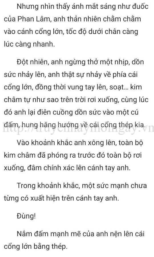 thần y ở rể