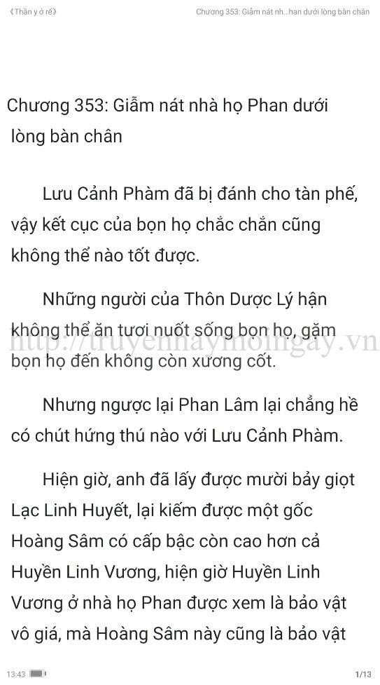 thần y ở rể