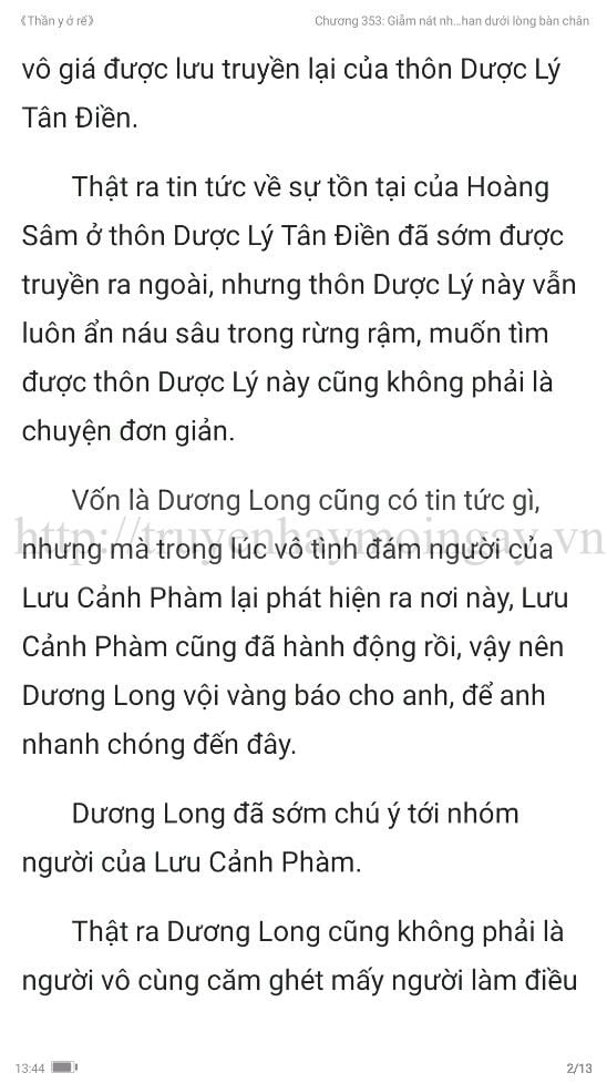 thần y ở rể