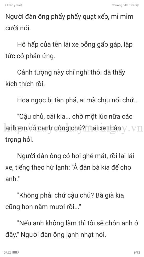 thần y ở rể