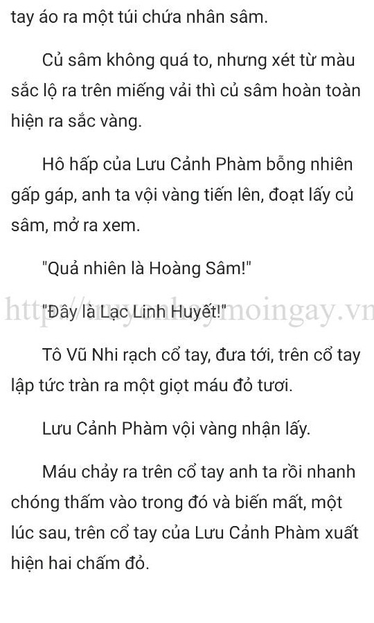 thần y ở rể