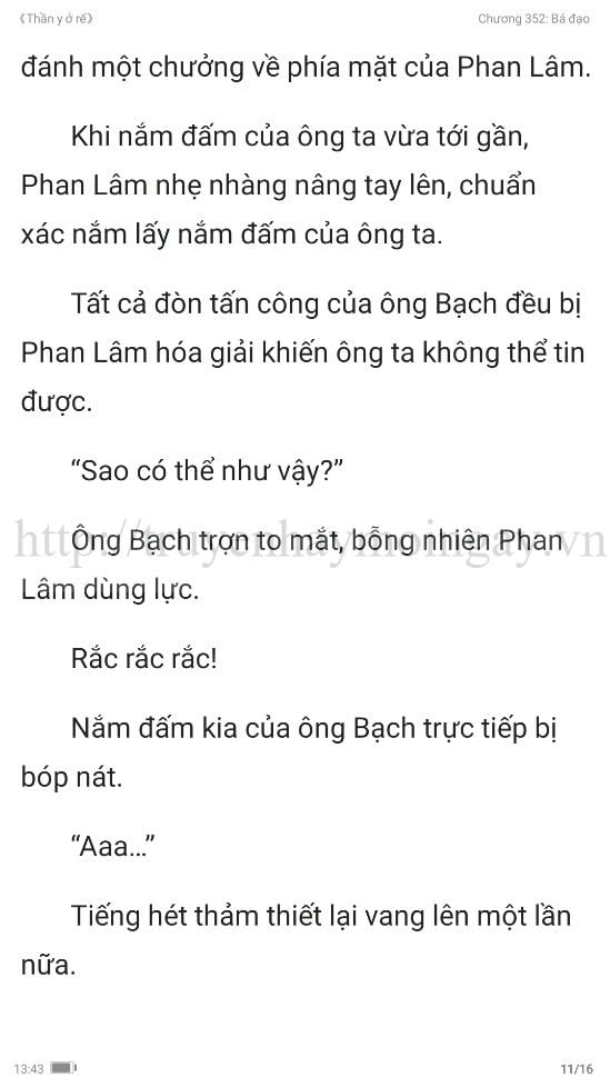 thần y ở rể