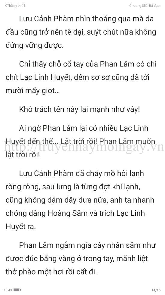 thần y ở rể