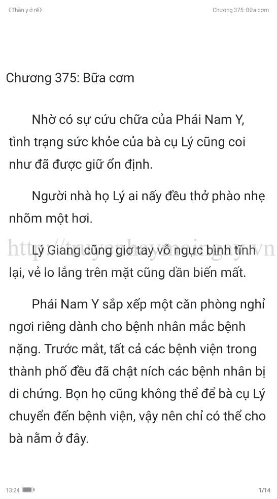 thần y ở rể