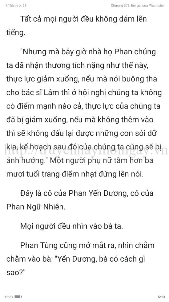 thần y ở rể