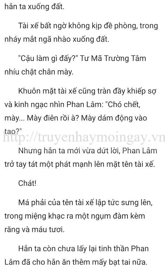 thần y ở rể