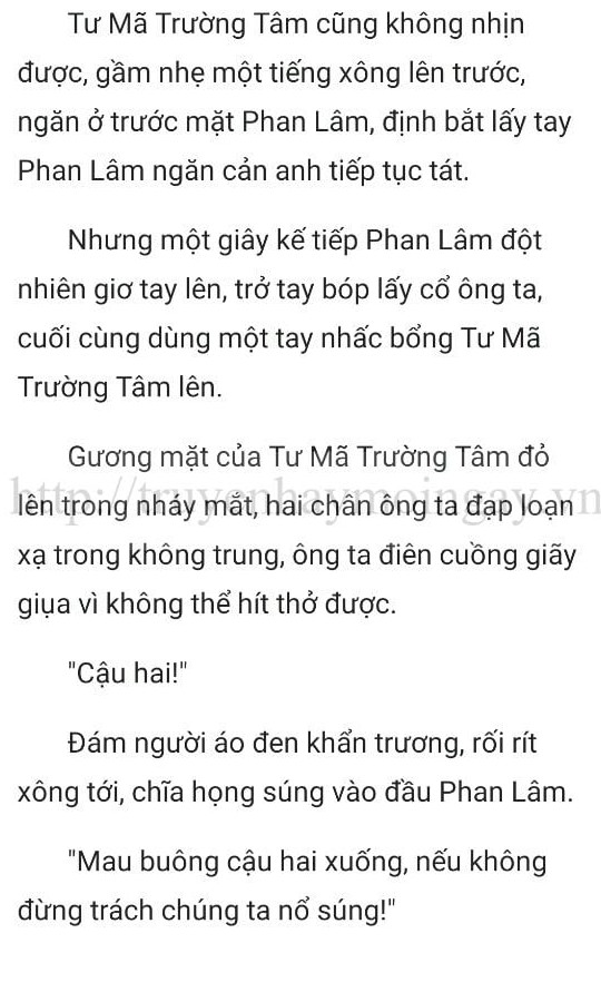 thần y ở rể