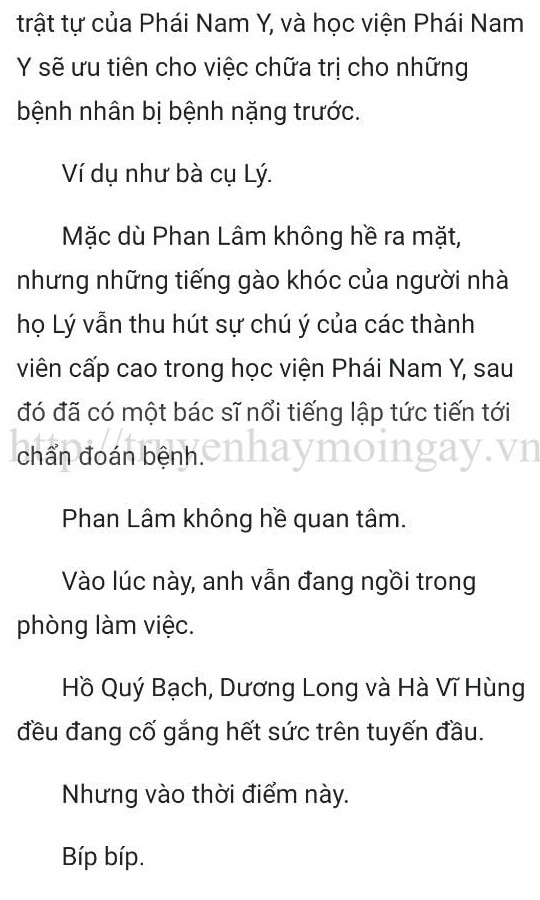 thần y ở rể