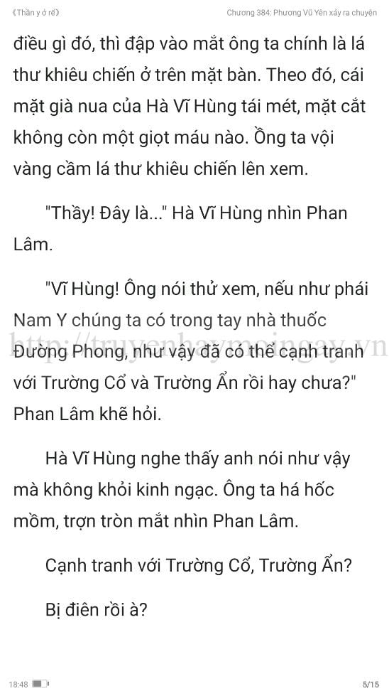 thần y ở rể