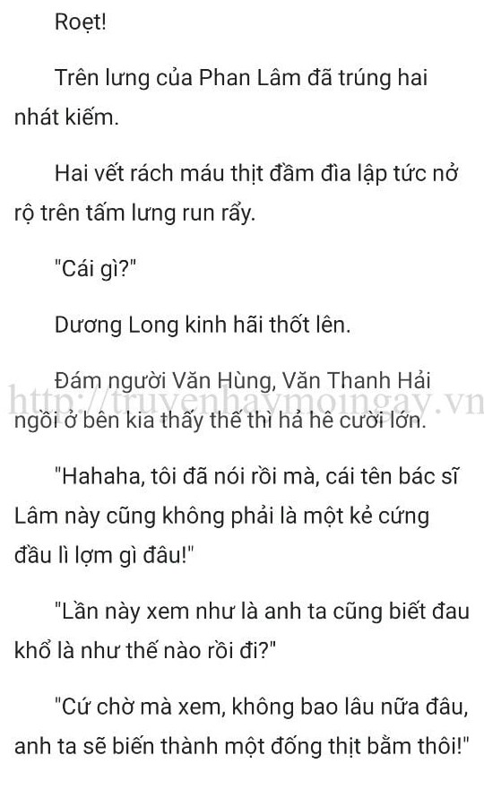 thần y ở rể