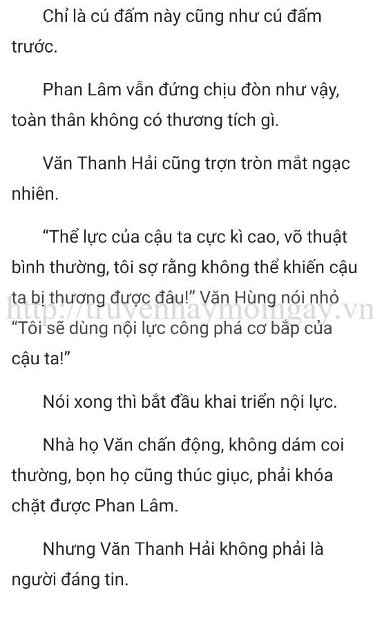 thần y ở rể