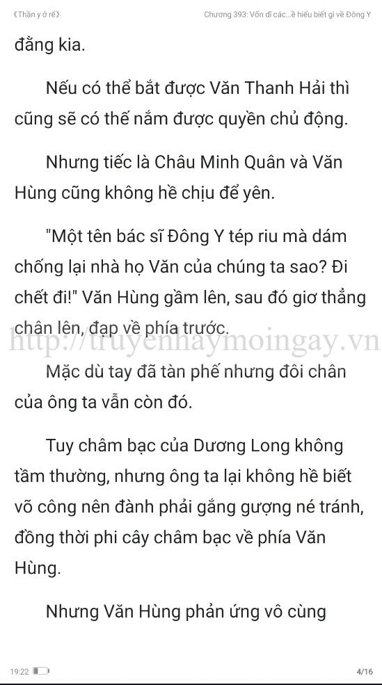 thần y ở rể