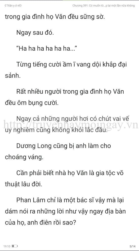 thần y ở rể