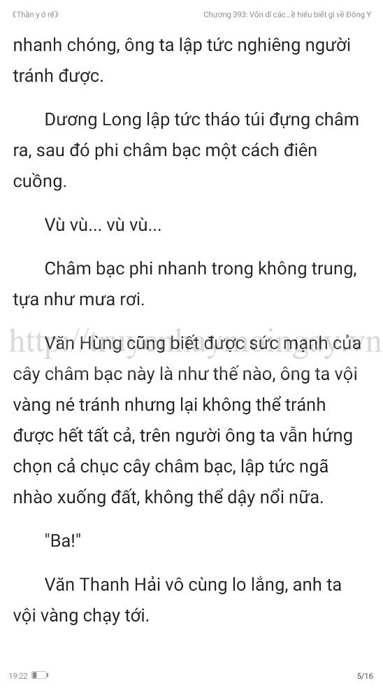 thần y ở rể