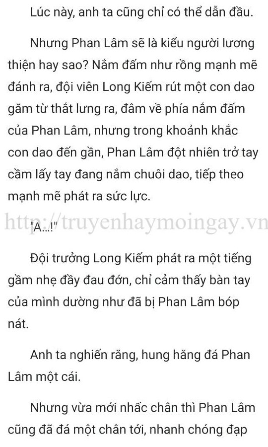 thần y ở rể