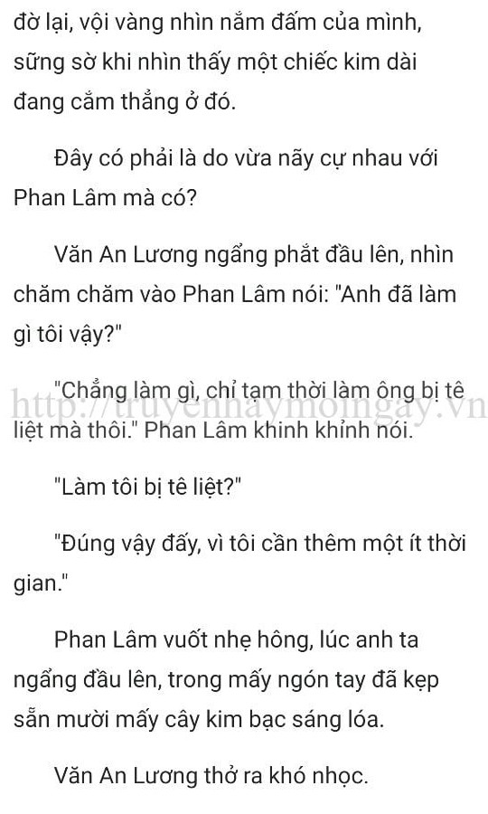 thần y ở rể