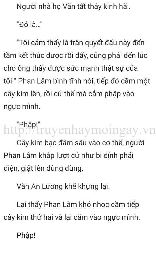 thần y ở rể