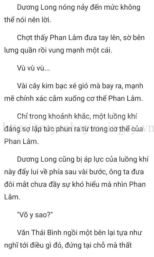 thần y ở rể