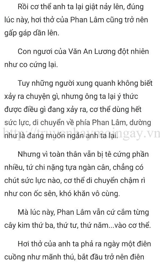 thần y ở rể