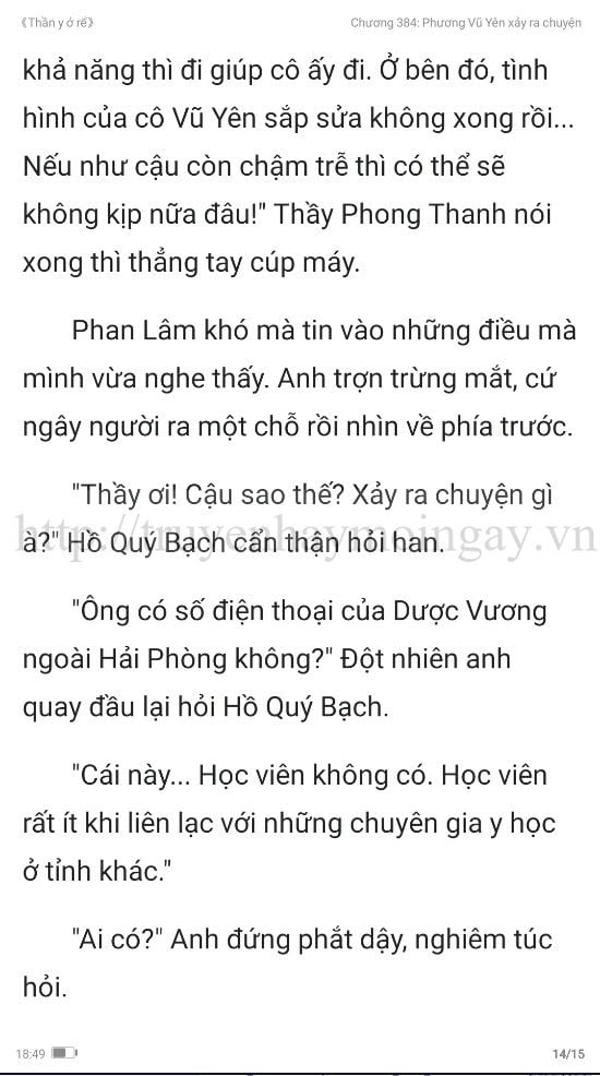 thần y ở rể